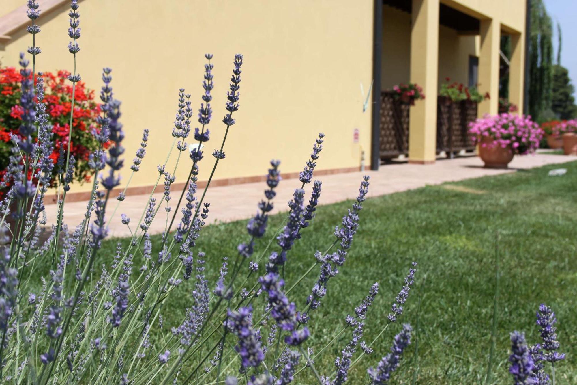 Podere Tre Cipressi Aparthotel Campiglia Marittima Bagian luar foto