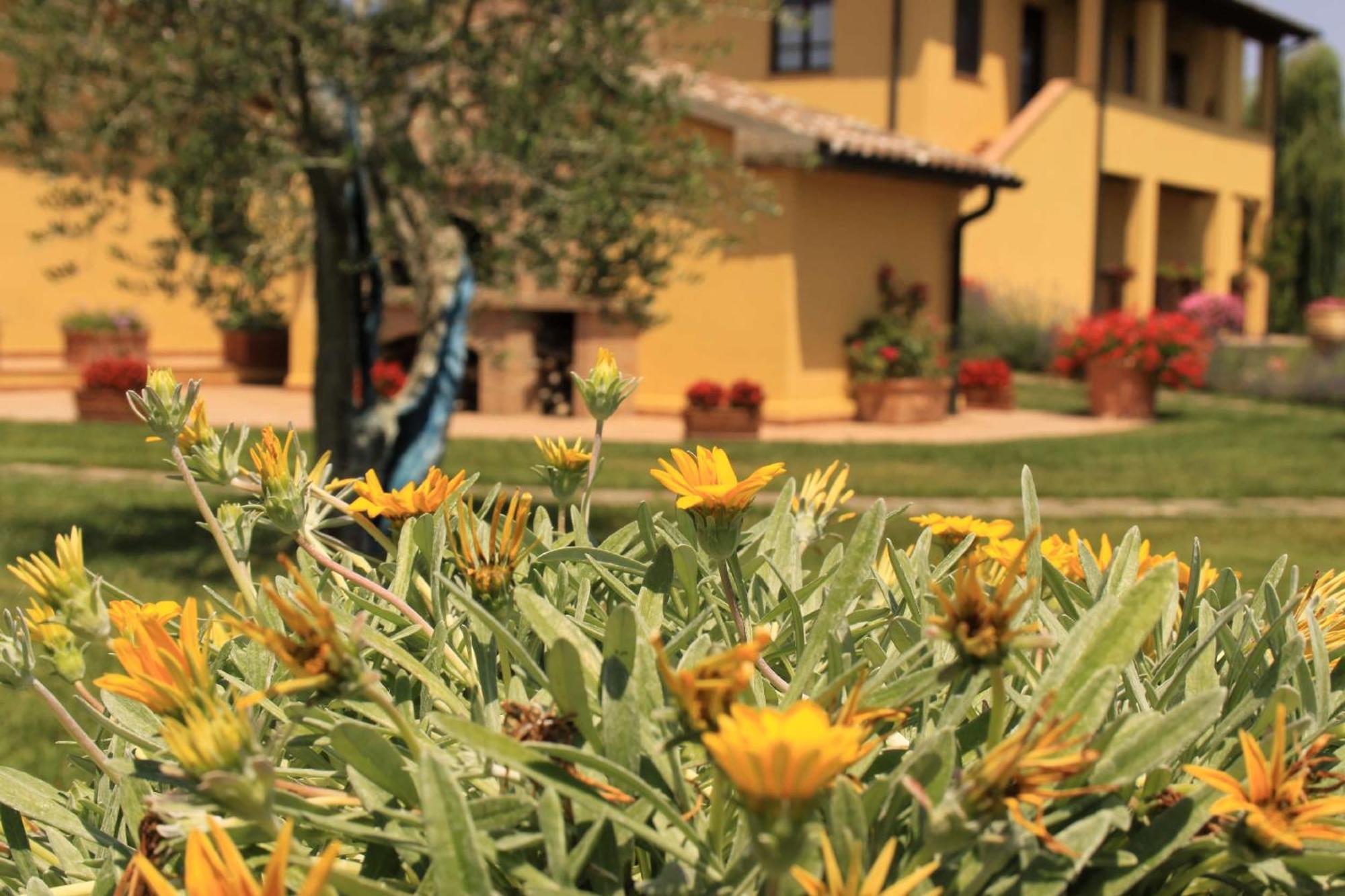 Podere Tre Cipressi Aparthotel Campiglia Marittima Bagian luar foto