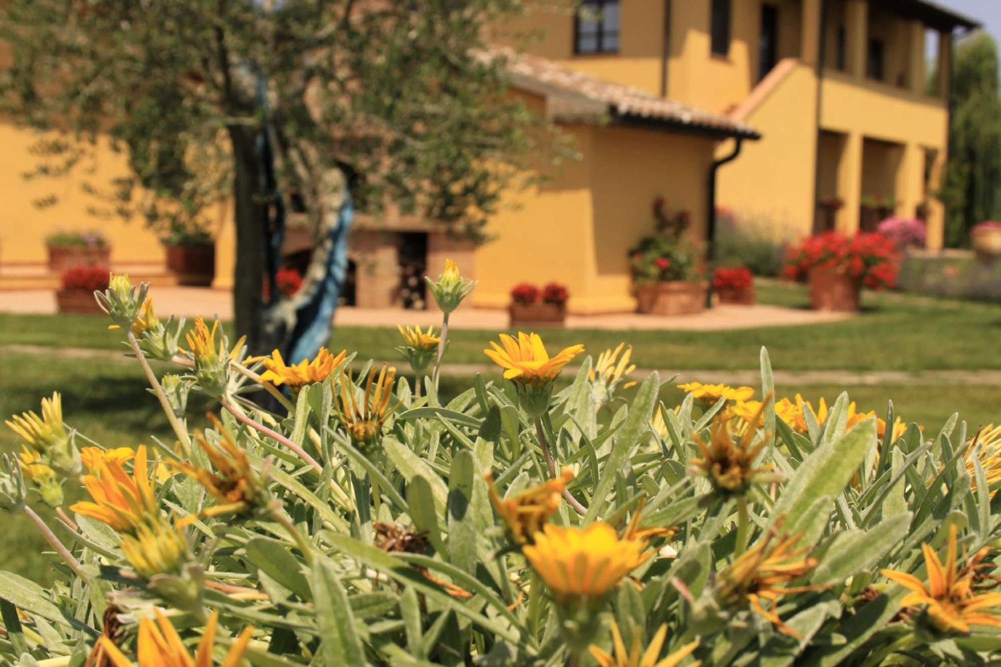 Podere Tre Cipressi Campiglia Marittima Bagian luar foto